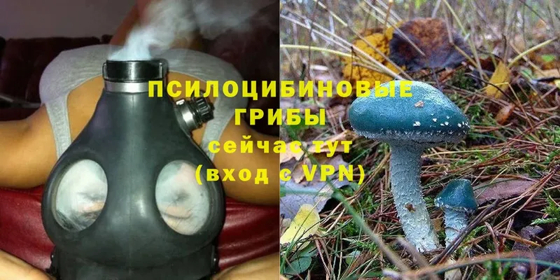 сколько стоит  ОМГ ОМГ зеркало  Псилоцибиновые грибы Psilocybine cubensis  Навашино 