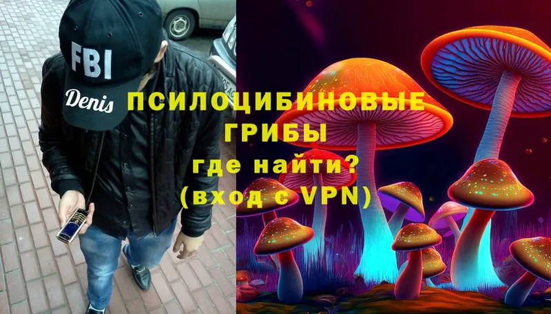 Галлюциногенные грибы Psilocybe Навашино